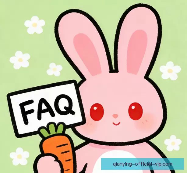 新手常见问题